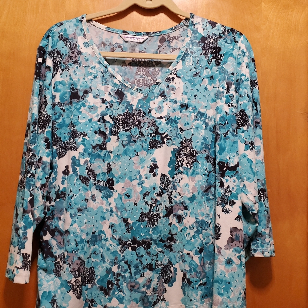 Ladies top